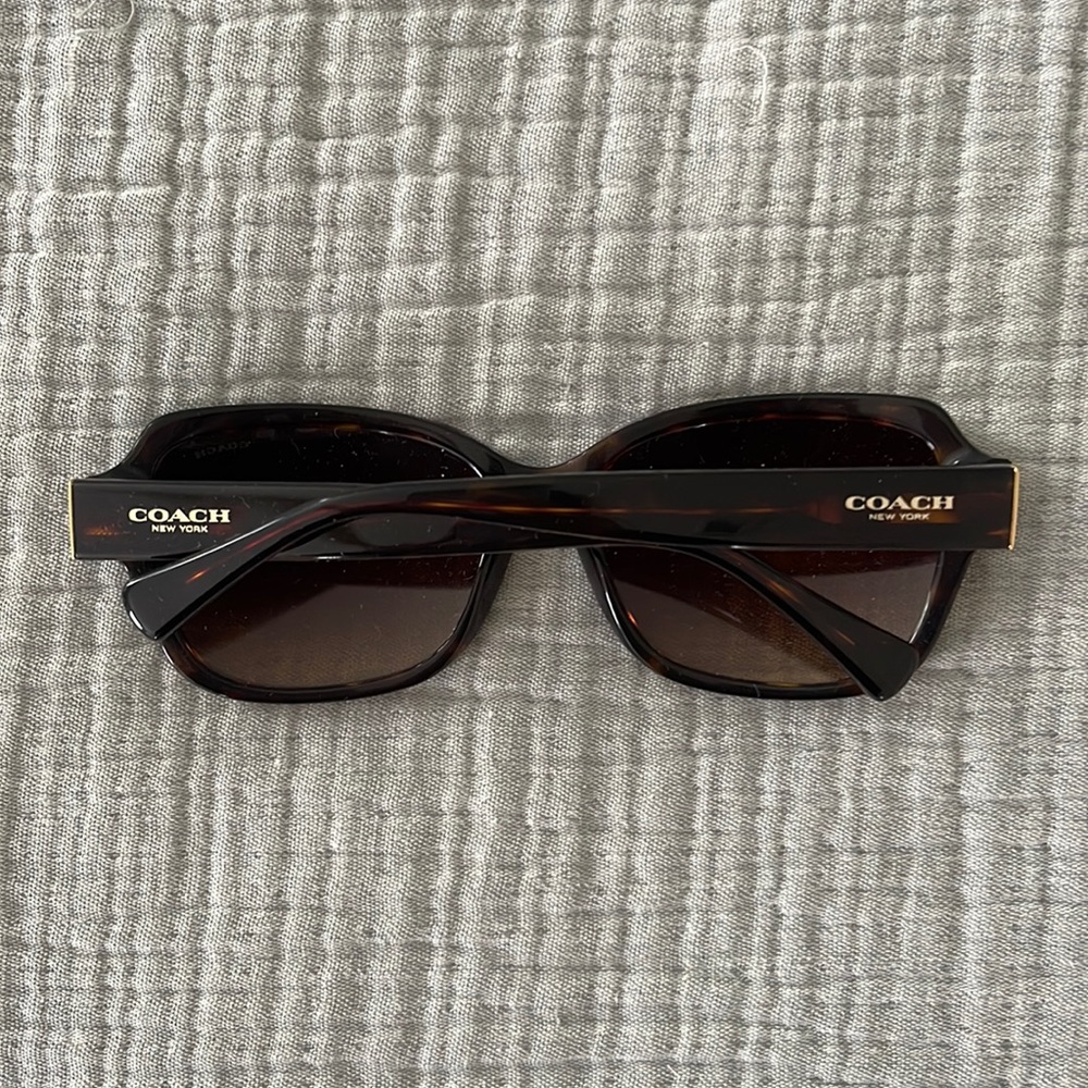 Coach sunnies